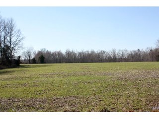 Property photo 8 - REAL ESTATE AUCTION - 366+/- ACRES OFFERED IN 5 TRACTS IN WESTERN JEFFERSON COUNTY, INDIANA